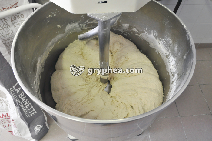 Première fermentation de la pâte à pain dans la cuve ( - gryphea.com